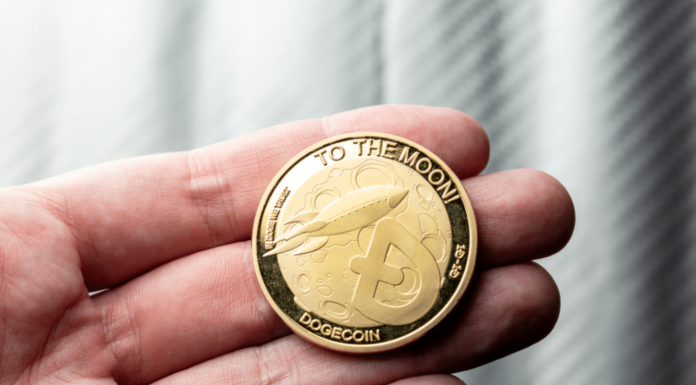 BNB y Dogecoin se recuperan a medida que los inversores minoristas y las ballenas impulsan $MEDA