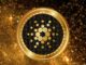 Crypto Exchange dice que el precio de Cardano puede alcanzar los $165, aquí es cuando