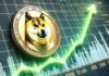Las ballenas Dogecoin realizan compras masivas, esto es lo que han comprado