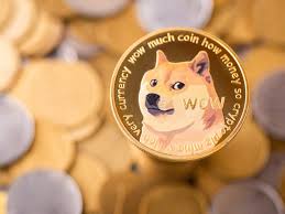 La base de titulares de Dogecoin alcanza un nuevo récord en medio de un aumento del interés