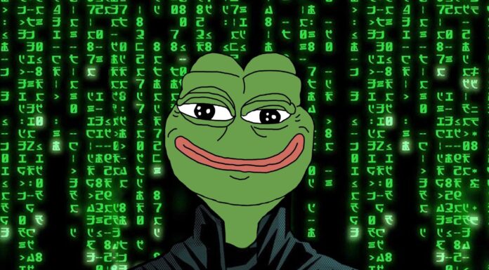 PEPE Whale obtiene ganancias de 8,13 millones de dólares mientras continúa el repunte alcista