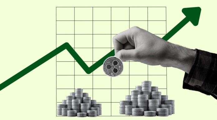 El precio de XRP aumenta en medio de la batalla legal de la SEC: la visión del CEO de Ripple para el futuro