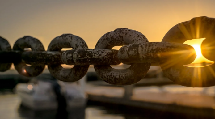Las cripto ballenas apuestan a lo grande por LINK: ¿Es Chainlink el próximo Bitcoin?