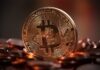 Frenesí de compras: las ballenas de Bitcoin se apoderan de 1.620 millones de dólares en BTC en dos días tras una caída masiva de precios
