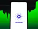 Cardano y Polkadot respaldan la visión de Kelexo (KLXO), acelerando el impulso de preventa de la plataforma de préstamos