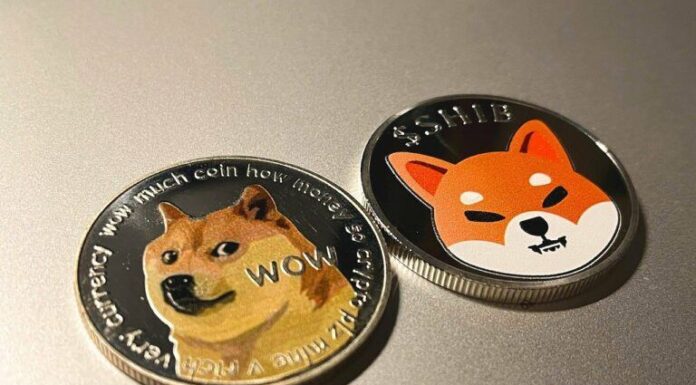 CIO bit a bit: los inversores criptográficos ricos impulsan el repunte de las monedas alternativas a medida que Bitcoin crece