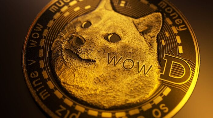 Por qué este emisor de ETF no tocará Dogecoin en medio de los planes de Fund de Solana y XRP