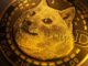 Por qué este emisor de ETF no tocará Dogecoin en medio de los planes de Fund de Solana y XRP