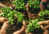 El juego de agricultura DeFi 'Crypto Valleys' ofrece a los jugadores un jugoso RENDIMIENTO en Ethereum L2 Blast