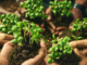 El juego de agricultura DeFi 'Crypto Valleys' ofrece a los jugadores un jugoso RENDIMIENTO en Ethereum L2 Blast
