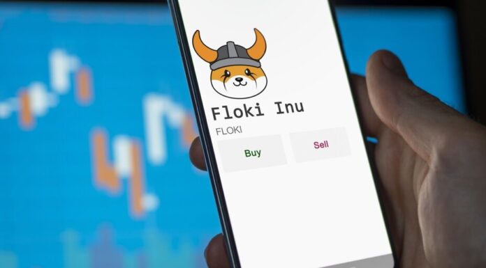 Meme Coin Floki ocupa el puesto 69.º activo más grande con una ganancia del 38%