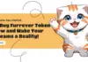 El avance de 70.000 dólares de Bitcoin (BTC), el impulso de Shiba Inu (SHIB), la resiliencia de Furrever Token (FURR): ¿qué sigue?