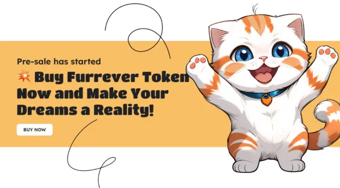 El avance de 70.000 dólares de Bitcoin (BTC), el impulso de Shiba Inu (SHIB), la resiliencia de Furrever Token (FURR): ¿qué sigue?