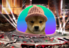 Solana Meme Coin Dogwifhat no tiene un trato con la esfera de Las Vegas, dice Venue