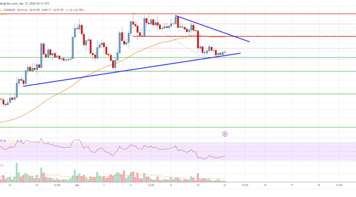 Análisis de Bitcoin Cash: los alcistas continúan protegiendo el soporte clave