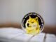 ¿Las ballenas Dogecoin envían 800 millones de DOGE a los intercambios y arrojan los entrantes?