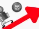 Shiba Inu se consolida dentro de un patrón crucial en medio de la disminución del interés abierto: ¿Lograrán los alcistas una ruptura?