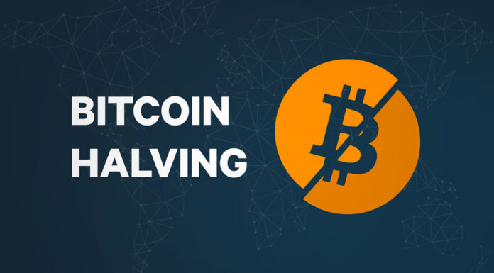 Reducción a la mitad de Bitcoin: una historia de dos emociones: ¿FOMO o FUD dominarán el mercado?
