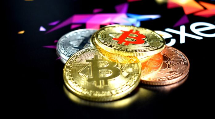¿Bonanza de Bitcoin antes del halving? Analista ve ventana de compra previa a la crisis