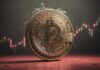 Las liquidaciones superan los $255 millones mientras Bitcoin se recupera a $63,000 antes del halving