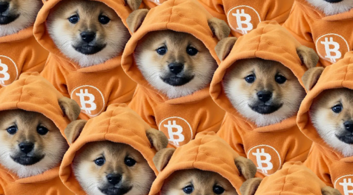 Por qué la moneda de meme más grande de Bitcoin acaba de unir a Solana