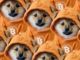 Por qué la moneda de meme más grande de Bitcoin acaba de unir a Solana