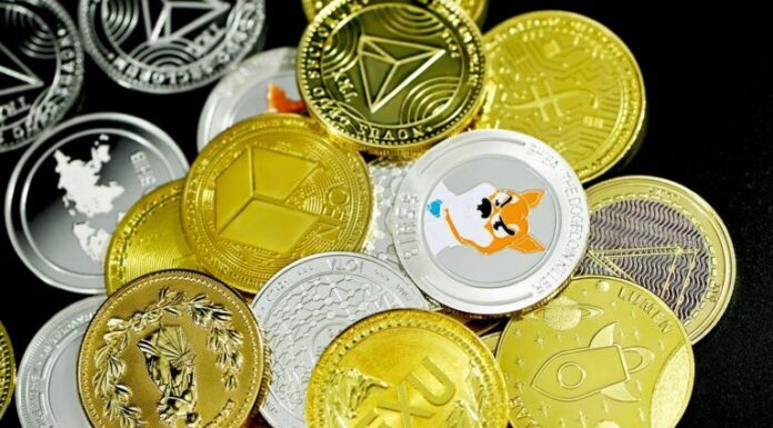 Adquisición de Memecoin: $SHIB, $PEPE y $FLOKI eclipsan el volumen de operaciones de Bitcoin en la bolsa más grande de la India