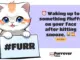 El ascenso de 2024: pronósticos de expertos para Ethereum (ETH), Furrever Token (FURR) y Shiba Inu (SHIB)