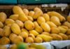 Comerciante de criptomonedas condenado en el caso de 'Mango Markets' por valor de 110 millones de dólares se enfrenta a 20 años de prisión