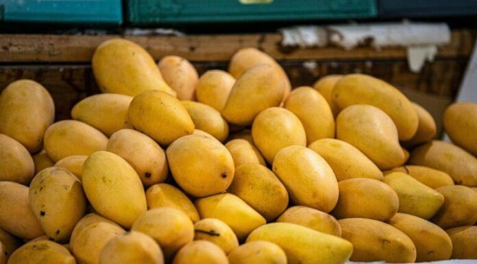 Comerciante de criptomonedas condenado en el caso de 'Mango Markets' por valor de 110 millones de dólares se enfrenta a 20 años de prisión