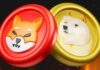Un analista dice que Shiba Inu pasará a Dogecoin a medida que aumente la tasa de quema de SHIB