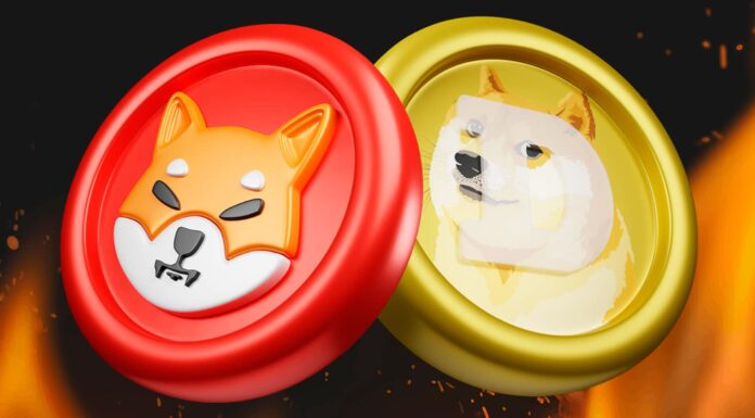 Un analista dice que Shiba Inu pasará a Dogecoin a medida que aumente la tasa de quema de SHIB
