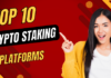 Los 10 Principales Plataformas de Staking de Criptomonedas de 2024 – Consejos Rápidos para Principiantes para Ganar top 10 plataformas staking