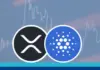 XRP y ADA encuentran rangos de precios sólidos, pero los inversores no pueden conformarse, detectan la preventa de $RECQ para obtener ganancias interesantes