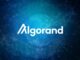 Chart Whisperer detecta la ruptura de Algorand: prepárese para un repunte del 50%