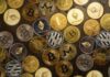 Altcoins en problemas mientras un analista experimentado predice una caída del 40% en los precios