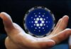 Cardano listo para un movimiento 15x, criptoanalista revela los principales impulsores