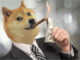 Dogecoin en aumento: más de 5 millones de billeteras ahora son rentables a medida que se avecina un posible aumento