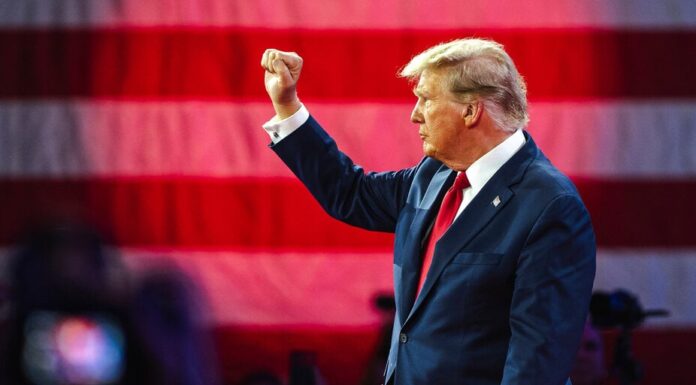 Trump elige a Howard Lutnick, un optimista de Bitcoin y Tether, para su equipo de transición