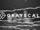 Grayscale reabre opciones sobre XRP Trust a los inversores