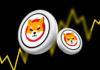 Shiba Inu domina Dogecoin en transacciones con ballenas: ¿Qué sigue para el precio de SHIB?