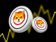 Shiba Inu domina Dogecoin en transacciones con ballenas: ¿Qué sigue para el precio de SHIB?