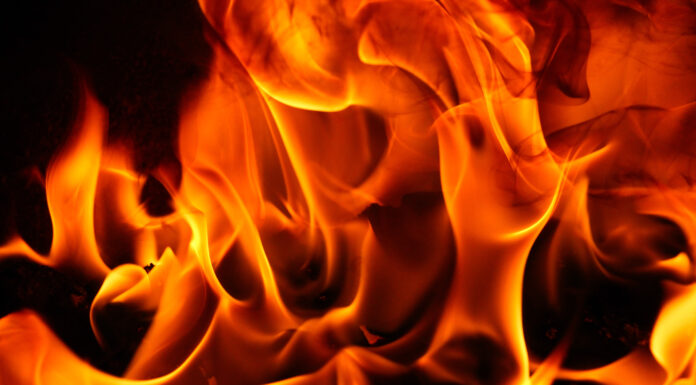 Chainlink On Fire: el precio se acerca a los $ 18, el índice de ganancias alcanza los niveles de 2022