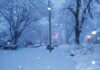 ¿Nevadas de Solana? El precio se desploma en medio de la corrección del mercado: ¿empeorará?