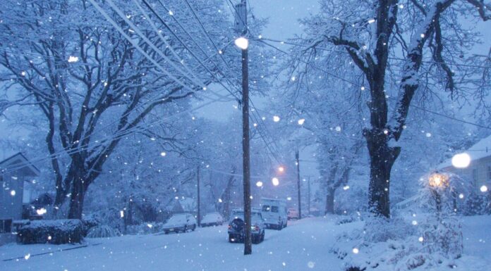 ¿Nevadas de Solana? El precio se desploma en medio de la corrección del mercado: ¿empeorará?