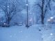 ¿Nevadas de Solana? El precio se desploma en medio de la corrección del mercado: ¿empeorará?