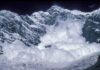 Avalanche resiste la tormenta: ¿Puede AVAX volver a alcanzar los 40 dólares?