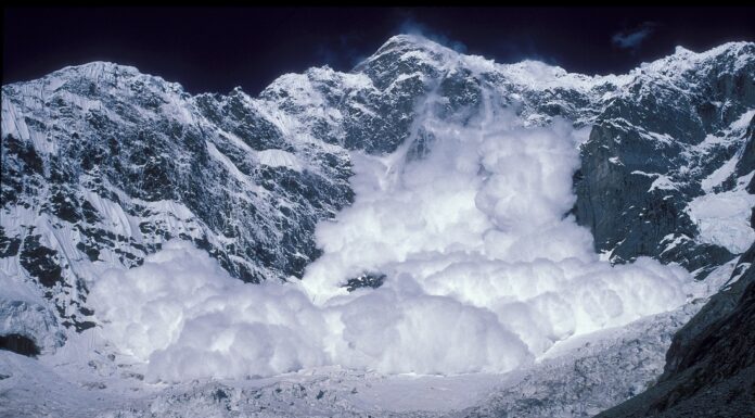 Avalanche resiste la tormenta: ¿Puede AVAX volver a alcanzar los 40 dólares?