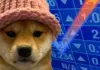 ¿Están llegando $ 5 para Dogwifhat mientras la principal moneda Meme de Solana continúa creciendo?