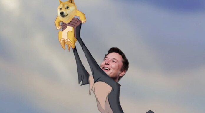 La mayoría de los poseedores de Dogecoin no compraron el top de Elon Musk